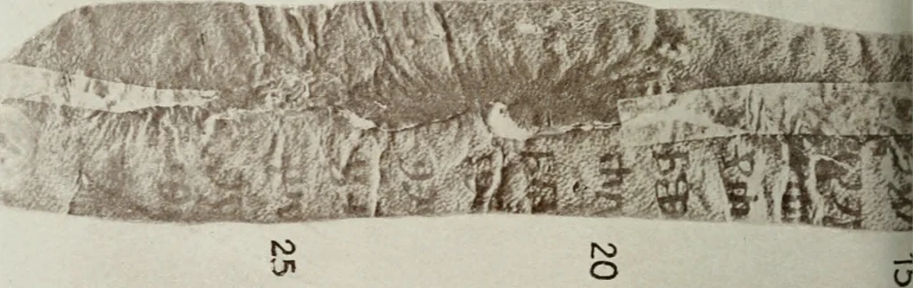 An illustration from Nejstarí breviá chrvatsko-hlaholský. (Prvý breviá vrbnický) Uvodem a bibliografickými popisy hlaholských breviáu starí doby opatil Josef Vajs, 1910, leaf 219