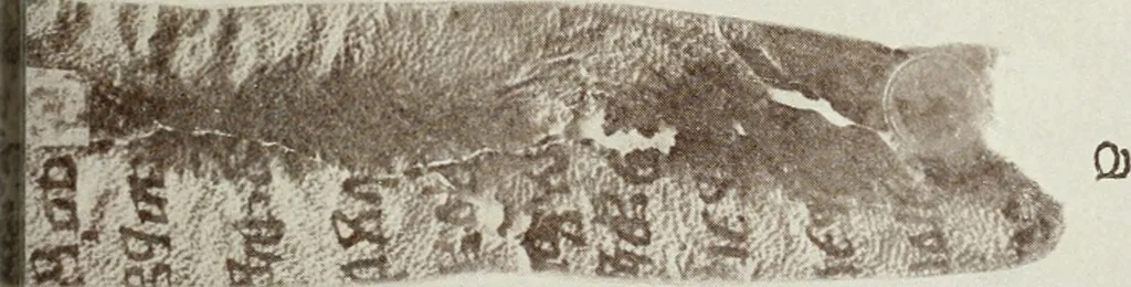 An illustration from Nejstarí breviá chrvatsko-hlaholský. (Prvý breviá vrbnický) Uvodem a bibliografickými popisy hlaholských breviáu starí doby opatil Josef Vajs, 1910, leaf 220