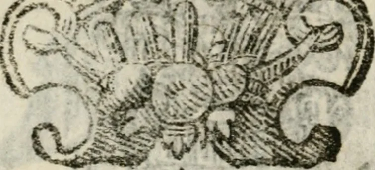 An illustration from Nel condurre la solenne processione del Santissimo Sacramento della chiesa parochiale di S. Maria Mascharella, la Veneranda Compagnia di Sa[n]ta Maria Maddalena, 1627, leaf 9