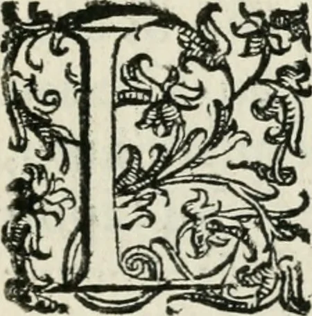 An illustration from Apparato della festività del glorioso S. Giouan Battista : fatto dal fedelisimo popolo napolitano nella venuta dell'Eccellenza del sig. d. Antonio Aluarez di Toledo, vicere nel regno, 1623, leaf 6