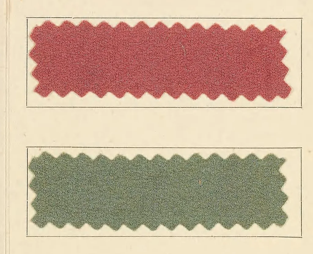 An illustration from Die Neolanfarbstoffe auf Seidenstück (crêpe de Chine) = Colorants néolane sur soie en pièce (crêpe de Chine) = Neolan colours on silk piece goods (Crêpe de Chine), 1900, leaf 86