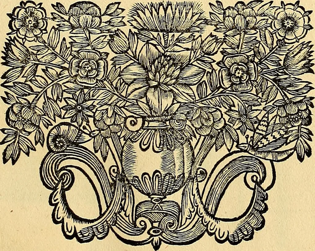 An illustration from Nervus opticus sive tractatus theoricus in tres libros opticam, catoptricam, dioptricam distributus : in quibus radiorum â lumine, vel objecto per medium diaphanum processus, natura, proprietates, & effectus, selectis, & rarioribus experientijs, figuris, demonstrationibusque exhibentur, 1675, leaf 112