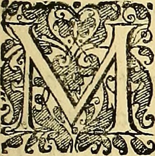 An illustration from Nervus opticus sive tractatus theoricus in tres libros opticam, catoptricam, dioptricam distributus : in quibus radiorum â lumine, vel objecto per medium diaphanum processus, natura, proprietates, & effectus, selectis, & rarioribus experientijs, figuris, demonstrationibusque exhibentur, 1675, leaf 116