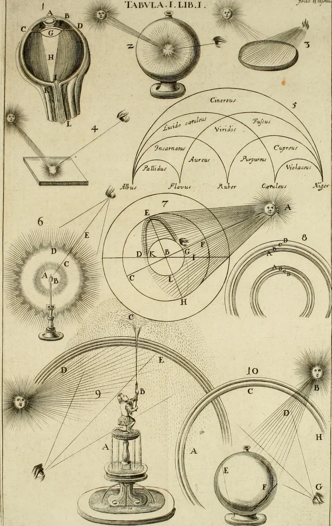 An illustration from Nervus opticus sive tractatus theoricus in tres libros opticam, catoptricam, dioptricam distributus : in quibus radiorum â lumine, vel objecto per medium diaphanum processus, natura, proprietates, & effectus, selectis, & rarioribus experientijs, figuris, demonstrationibusque exhibentur, 1675, leaf 29