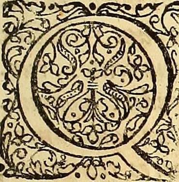 An illustration from Nervus opticus sive tractatus theoricus in tres libros opticam, catoptricam, dioptricam distributus : in quibus radiorum â lumine, vel objecto per medium diaphanum processus, natura, proprietates, & effectus, selectis, & rarioribus experientijs, figuris, demonstrationibusque exhibentur, 1675, leaf 30