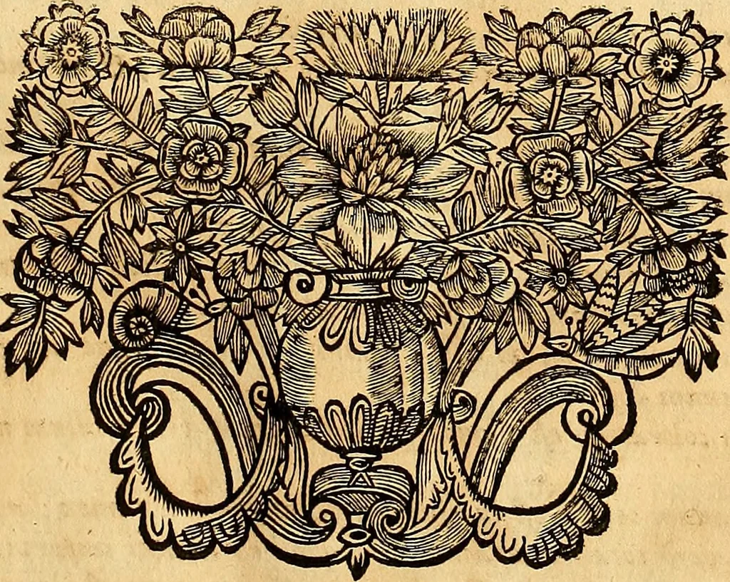 An illustration from Nervus opticus sive tractatus theoricus in tres libros opticam, catoptricam, dioptricam distributus : in quibus radiorum â lumine, vel objecto per medium diaphanum processus, natura, proprietates, & effectus, selectis, & rarioribus experientijs, figuris, demonstrationibusque exhibentur, 1675, leaf 34