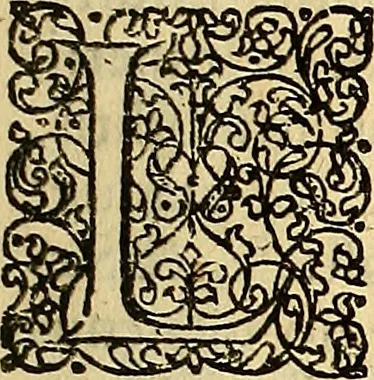 An illustration from Nervus opticus sive tractatus theoricus in tres libros opticam, catoptricam, dioptricam distributus : in quibus radiorum â lumine, vel objecto per medium diaphanum processus, natura, proprietates, & effectus, selectis, & rarioribus experientijs, figuris, demonstrationibusque exhibentur, 1675, leaf 8