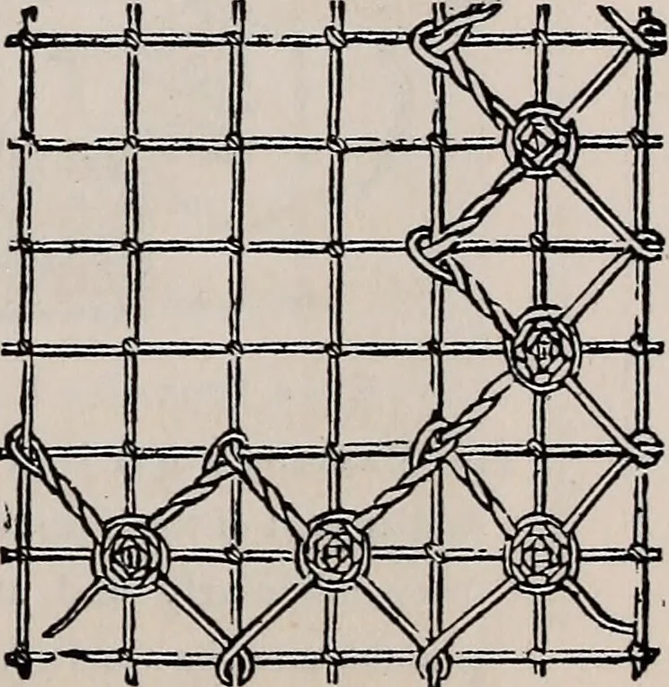 An illustration from The netting book for guipure d'art, &c.., 1879, leaf 10