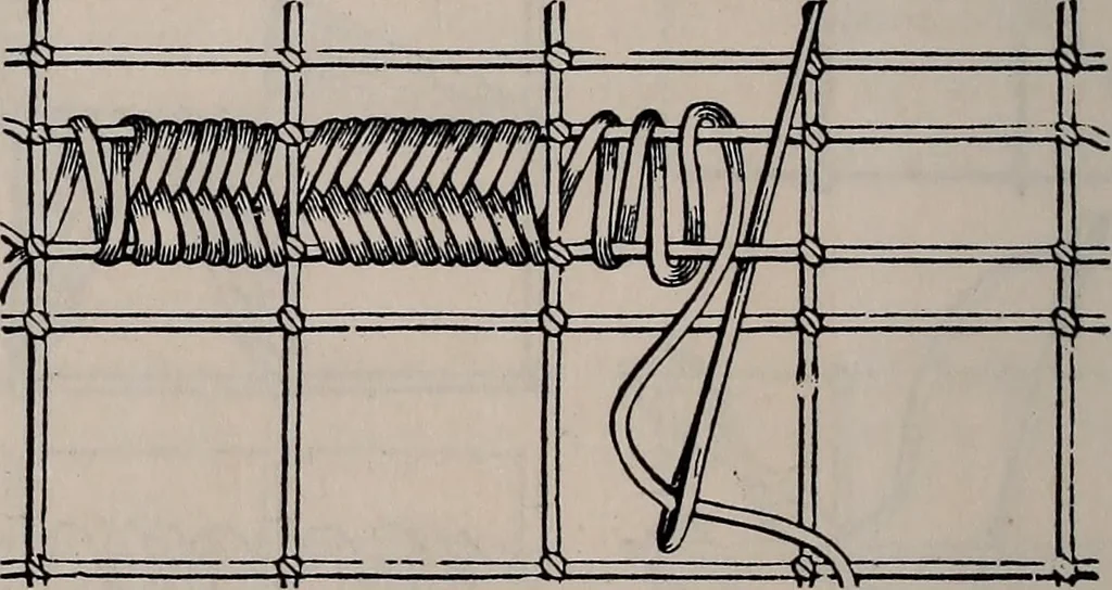 An illustration from The netting book for guipure d'art, &c.., 1879, leaf 11
