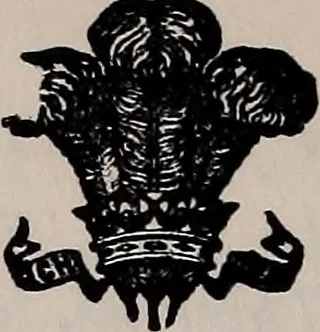 An illustration from The netting book for guipure d'art, &c.., 1879, leaf 33