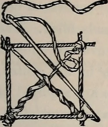 An illustration from The netting book for guipure d'art, &c.., 1879, leaf 8