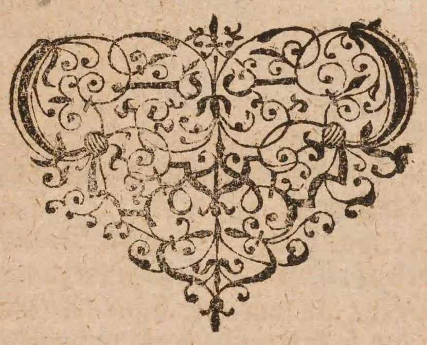 An illustration from Der neu-aufgesetzte blumen-garten : abgetheilt in drei bücher ..., 1670, leaf 264