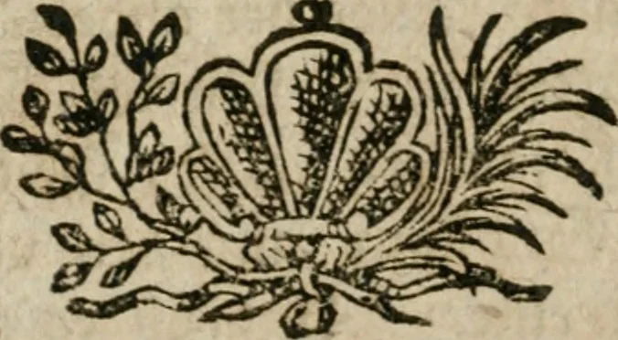 An illustration from Neue alchymistische Bibliothek für den Naturkundiger unsers Jahrhunderts, 1772, leaf 1011