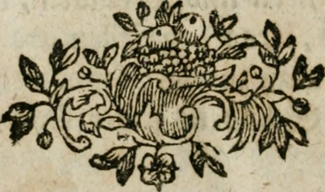 An illustration from Neue alchymistische Bibliothek für den Naturkundiger unsers Jahrhunderts, 1772, leaf 1057