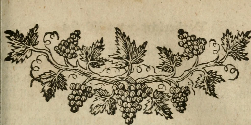 An illustration from Neue alchymistische Bibliothek für den Naturkundiger unsers Jahrhunderts, 1772, leaf 1062