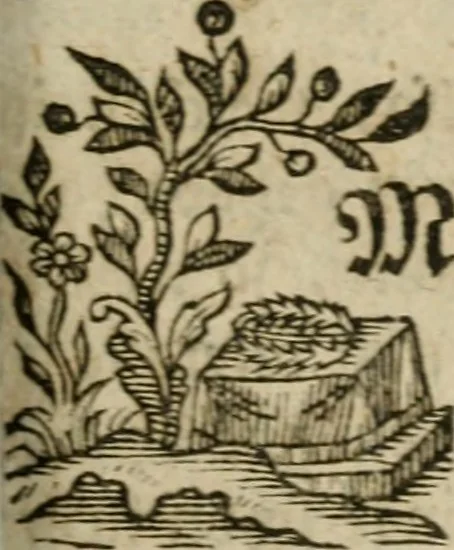 An illustration from Neue alchymistische Bibliothek für den Naturkundiger unsers Jahrhunderts, 1772, leaf 1068