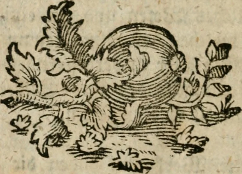 An illustration from Neue alchymistische Bibliothek für den Naturkundiger unsers Jahrhunderts, 1772, leaf 1231