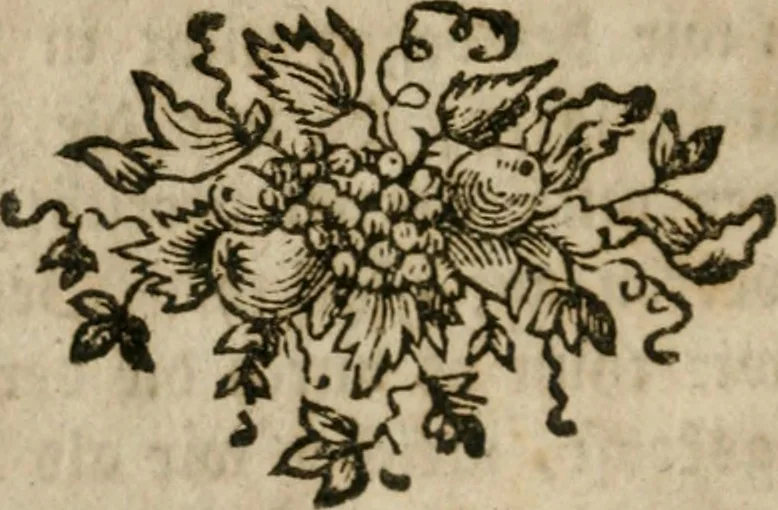 An illustration from Neue alchymistische Bibliothek für den Naturkundiger unsers Jahrhunderts, 1772, leaf 277