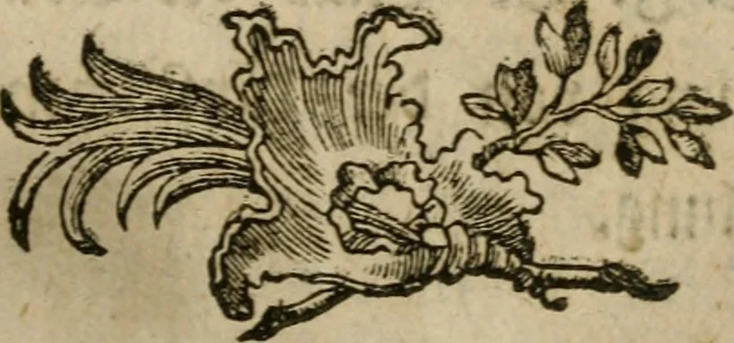An illustration from Neue alchymistische Bibliothek für den Naturkundiger unsers Jahrhunderts, 1772, leaf 6