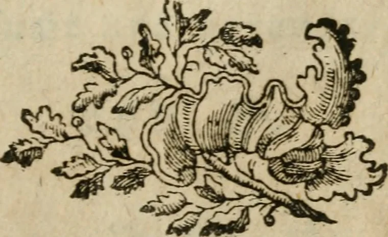 An illustration from Neue alchymistische Bibliothek für den Naturkundiger unsers Jahrhunderts, 1772, leaf 624