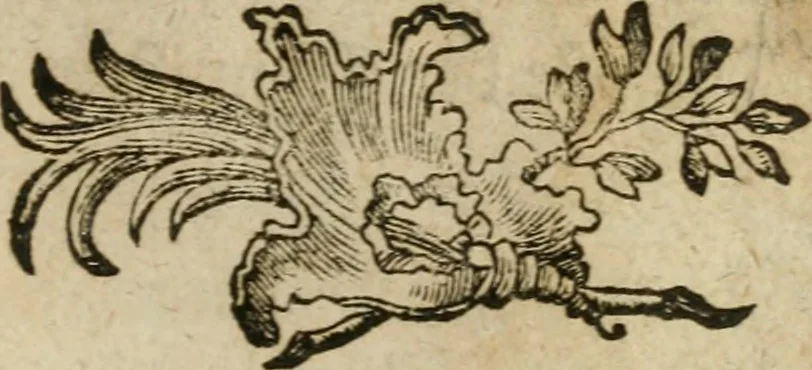 An illustration from Neue alchymistische Bibliothek für den Naturkundiger unsers Jahrhunderts, 1772, leaf 626