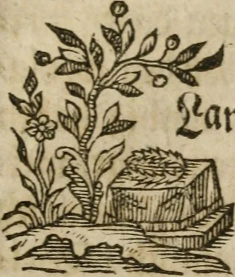 An illustration from Neue alchymistische Bibliothek für den Naturkundiger unsers Jahrhunderts, 1772, leaf 628