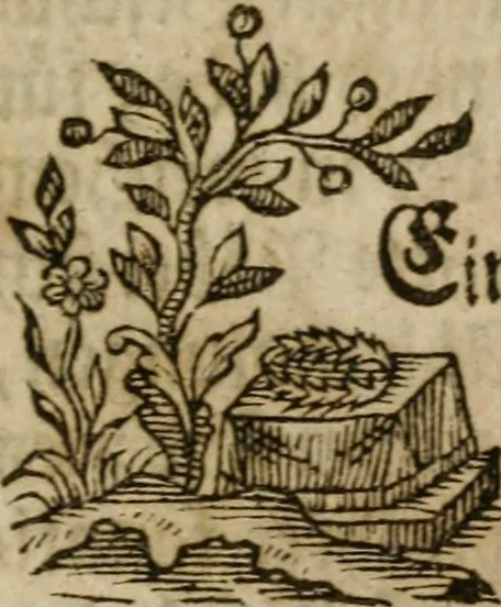 An illustration from Neue alchymistische Bibliothek für den Naturkundiger unsers Jahrhunderts, 1772, leaf 8