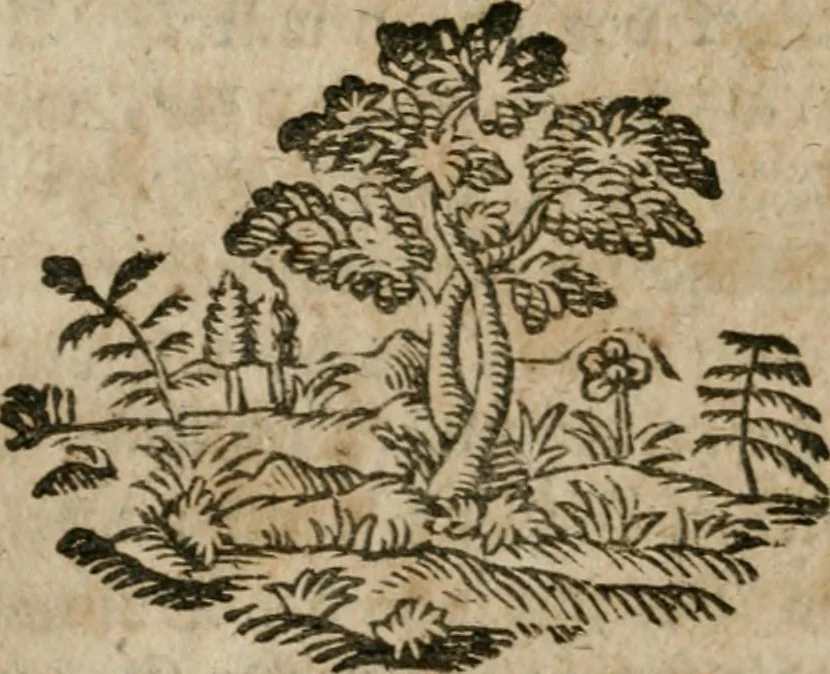 An illustration from Neue alchymistische Bibliothek für den Naturkundiger unsers Jahrhunderts, 1772, leaf 937