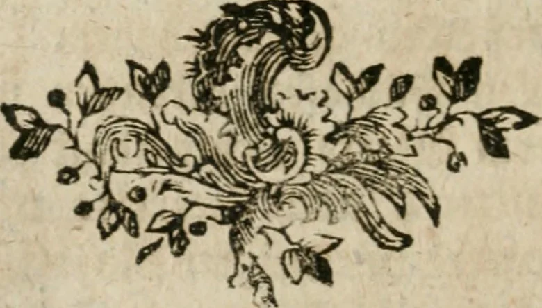 An illustration from Neue alchymistische Bibliothek für den Naturkundiger unsers Jahrhunderts, 1772, leaf 977