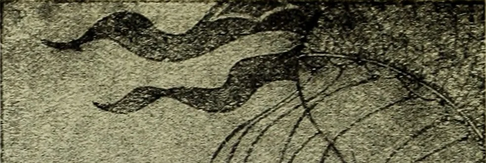 An illustration from Neue deutsche Buchillustration, 1915, leaf 37