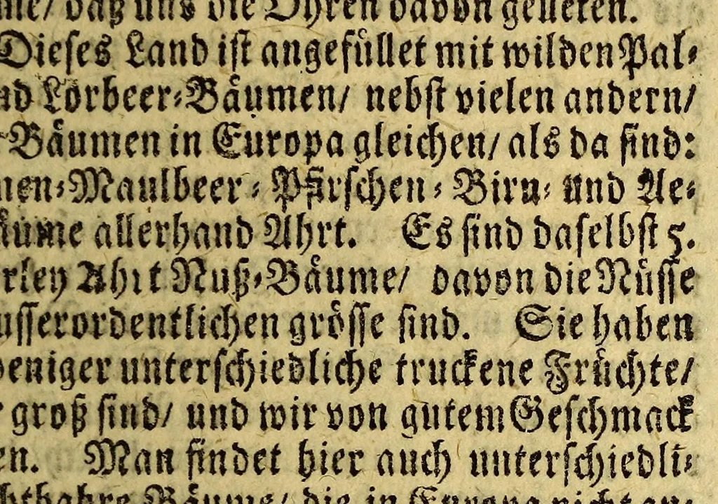 An illustration from Neue Entdeckung vieler sehr grossen Landschafften in America zwischen Neu-Mexico und dem Eyss-Meer gelegen, welche bisshero denen Europäern noch unbekand gewesen, und an Grösse gantz Europa übertreffen. : Wie auch eine völlige Beschreibung des erschrecklichen Wasser-Falles von Niagara, welcher der grösseste in der gantzen Welt ist, und des grossen Flusses Meschasipi, so in einer Länge son 800. Reissen durch diese Länder fliesset, nemlich von dessen Uhrsprung biss zu seiner Ergiessung in den Golff von Mexico[.] Imgleichen der wilden Einwohner barbarischen Manieren und Lebens-Ahrt, sambt vielen Seltenheiten. Sr. Gross-Brittannis. Maj. Wilhelm dem III. in Frantzösis. Sprache überreichet und beschrieben von R.P. Ludovy., 1699, leaf 259