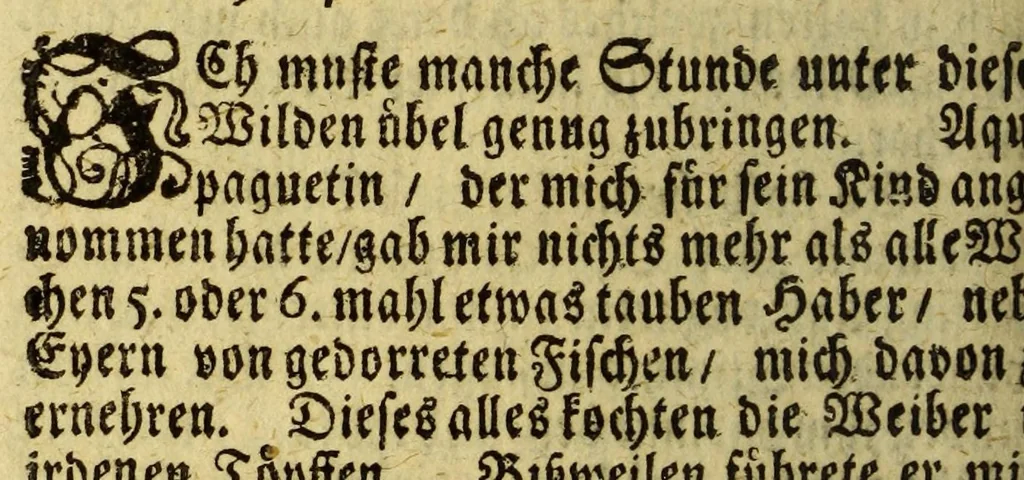 An illustration from Neue Entdeckung vieler sehr grossen Landschafften in America zwischen Neu-Mexico und dem Eyss-Meer gelegen, welche bisshero denen Europäern noch unbekand gewesen, und an Grösse gantz Europa übertreffen. : Wie auch eine völlige Beschreibung des erschrecklichen Wasser-Falles von Niagara, welcher der grösseste in der gantzen Welt ist, und des grossen Flusses Meschasipi, so in einer Länge son 800. Reissen durch diese Länder fliesset, nemlich von dessen Uhrsprung biss zu seiner Ergiessung in den Golff von Mexico[.] Imgleichen der wilden Einwohner barbarischen Manieren und Lebens-Ahrt, sambt vielen Seltenheiten. Sr. Gross-Brittannis. Maj. Wilhelm dem III. in Frantzösis. Sprache überreichet und beschrieben von R.P. Ludovy., 1699, leaf 334