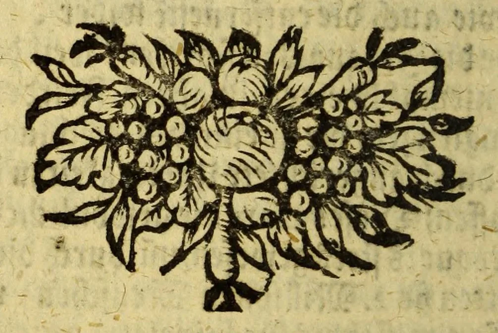 An illustration from Neue Entdeckung vieler sehr grossen Landschafften in America zwischen Neu-Mexico und dem Eyss-Meer gelegen, welche bisshero denen Europäern noch unbekand gewesen, und an Grösse gantz Europa übertreffen. : Wie auch eine völlige Beschreibung des erschrecklichen Wasser-Falles von Niagara, welcher der grösseste in der gantzen Welt ist, und des grossen Flusses Meschasipi, so in einer Länge son 800. Reissen durch diese Länder fliesset, nemlich von dessen Uhrsprung biss zu seiner Ergiessung in den Golff von Mexico[.] Imgleichen der wilden Einwohner barbarischen Manieren und Lebens-Ahrt, sambt vielen Seltenheiten. Sr. Gross-Brittannis. Maj. Wilhelm dem III. in Frantzösis. Sprache überreichet und beschrieben von R.P. Ludovy., 1699, leaf 444