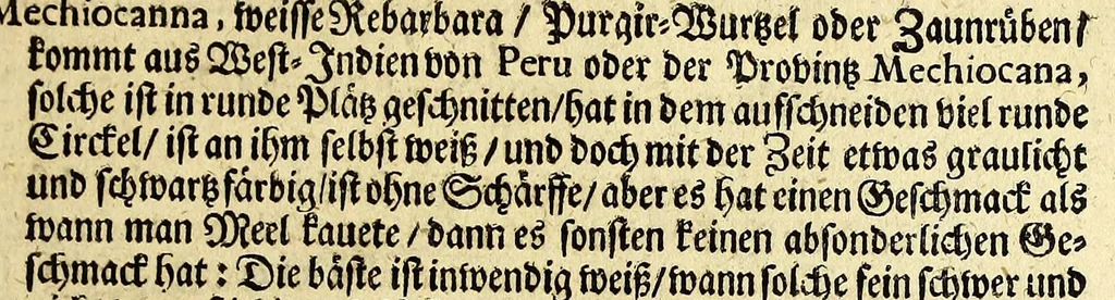 An illustration from Neu-eingerichtete Material-Kammer: : das ist, Gründliche Beschreibung aller fürnehmsten Materialien und Specereyen, so wohl auch andrer guter und gemeiner Waaren, woher solche den Ursprung nehmen, wie sie zu erkennen, gut zu behalten, und endlich die Prob derselben darauf zu machen, umb zu sehen, ob solche verfälscht und wie die Verfälschung darinnen zu mercken sey. Samt einer Erklärung: der chimischen, medicinischen, metallinischen, mineralischen und andere Characteren, was nehmlich solche für Bedeutungen insich halten. Wobey angehängt ein aussführlicher Bericht des Walfisch-Fanges in der nordischen Landen, dessgleichen niemals also in Teutscher Sprach beschrieben worden; und hernach eine kurtze Revision oder Wiederholung meines in An. 1662. aussgegangenen Buchhaltens, darinnen nicht allein meist alle Puncten besser erklärt und erläutert; sondern auch an vielen Orten vermehret, dazu ein und anders, welches vorhero nicht also beschrieben gewesen, anjetzo aber besser und deutlicher vorgestellet wird. Zuvor niemals also in Druck ausgegangen. Allen Liebhabern der Handlungen und Kauffmannschafften zum besten, mit guten Nutz und Frommen eingerichtet, 1672, leaf 117