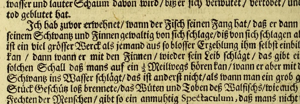 An illustration from Neu-eingerichtete Material-Kammer: : das ist, Gründliche Beschreibung aller fürnehmsten Materialien und Specereyen, so wohl auch andrer guter und gemeiner Waaren, woher solche den Ursprung nehmen, wie sie zu erkennen, gut zu behalten, und endlich die Prob derselben darauf zu machen, umb zu sehen, ob solche verfälscht und wie die Verfälschung darinnen zu mercken sey. Samt einer Erklärung: der chimischen, medicinischen, metallinischen, mineralischen und andere Characteren, was nehmlich solche für Bedeutungen insich halten. Wobey angehängt ein aussführlicher Bericht des Walfisch-Fanges in der nordischen Landen, dessgleichen niemals also in Teutscher Sprach beschrieben worden; und hernach eine kurtze Revision oder Wiederholung meines in An. 1662. aussgegangenen Buchhaltens, darinnen nicht allein meist alle Puncten besser erklärt und erläutert; sondern auch an vielen Orten vermehret, dazu ein und anders, welches vorhero nicht also beschrieben gewesen, anjetzo aber besser und deutlicher vorgestellet wird. Zuvor niemals also in Druck ausgegangen. Allen Liebhabern der Handlungen und Kauffmannschafften zum besten, mit guten Nutz und Frommen eingerichtet, 1672, leaf 138