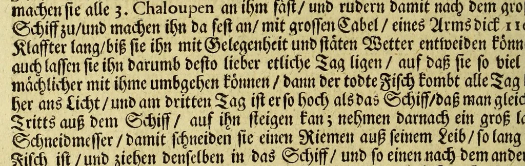An illustration from Neu-eingerichtete Material-Kammer: : das ist, Gründliche Beschreibung aller fürnehmsten Materialien und Specereyen, so wohl auch andrer guter und gemeiner Waaren, woher solche den Ursprung nehmen, wie sie zu erkennen, gut zu behalten, und endlich die Prob derselben darauf zu machen, umb zu sehen, ob solche verfälscht und wie die Verfälschung darinnen zu mercken sey. Samt einer Erklärung: der chimischen, medicinischen, metallinischen, mineralischen und andere Characteren, was nehmlich solche für Bedeutungen insich halten. Wobey angehängt ein aussführlicher Bericht des Walfisch-Fanges in der nordischen Landen, dessgleichen niemals also in Teutscher Sprach beschrieben worden; und hernach eine kurtze Revision oder Wiederholung meines in An. 1662. aussgegangenen Buchhaltens, darinnen nicht allein meist alle Puncten besser erklärt und erläutert; sondern auch an vielen Orten vermehret, dazu ein und anders, welches vorhero nicht also beschrieben gewesen, anjetzo aber besser und deutlicher vorgestellet wird. Zuvor niemals also in Druck ausgegangen. Allen Liebhabern der Handlungen und Kauffmannschafften zum besten, mit guten Nutz und Frommen eingerichtet, 1672, leaf 138