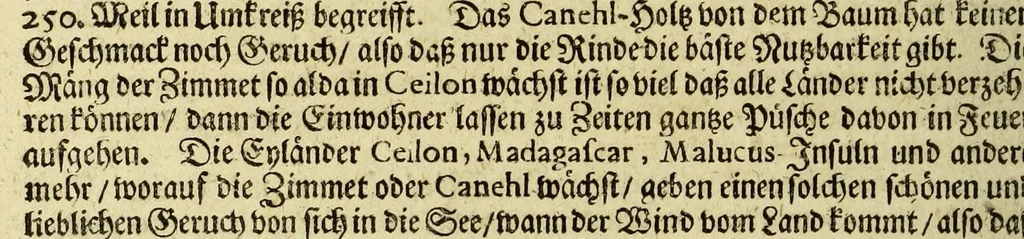 An illustration from Neu-eingerichtete Material-Kammer: : das ist, Gründliche Beschreibung aller fürnehmsten Materialien und Specereyen, so wohl auch andrer guter und gemeiner Waaren, woher solche den Ursprung nehmen, wie sie zu erkennen, gut zu behalten, und endlich die Prob derselben darauf zu machen, umb zu sehen, ob solche verfälscht und wie die Verfälschung darinnen zu mercken sey. Samt einer Erklärung: der chimischen, medicinischen, metallinischen, mineralischen und andere Characteren, was nehmlich solche für Bedeutungen insich halten. Wobey angehängt ein aussführlicher Bericht des Walfisch-Fanges in der nordischen Landen, dessgleichen niemals also in Teutscher Sprach beschrieben worden; und hernach eine kurtze Revision oder Wiederholung meines in An. 1662. aussgegangenen Buchhaltens, darinnen nicht allein meist alle Puncten besser erklärt und erläutert; sondern auch an vielen Orten vermehret, dazu ein und anders, welches vorhero nicht also beschrieben gewesen, anjetzo aber besser und deutlicher vorgestellet wird. Zuvor niemals also in Druck ausgegangen. Allen Liebhabern der Handlungen und Kauffmannschafften zum besten, mit guten Nutz und Frommen eingerichtet, 1672, leaf 68