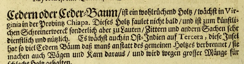 An illustration from Neu-eingerichtete Material-Kammer: : das ist, Gründliche Beschreibung aller fürnehmsten Materialien und Specereyen, so wohl auch andrer guter und gemeiner Waaren, woher solche den Ursprung nehmen, wie sie zu erkennen, gut zu behalten, und endlich die Prob derselben darauf zu machen, umb zu sehen, ob solche verfälscht und wie die Verfälschung darinnen zu mercken sey. Samt einer Erklärung: der chimischen, medicinischen, metallinischen, mineralischen und andere Characteren, was nehmlich solche für Bedeutungen insich halten. Wobey angehängt ein aussführlicher Bericht des Walfisch-Fanges in der nordischen Landen, dessgleichen niemals also in Teutscher Sprach beschrieben worden; und hernach eine kurtze Revision oder Wiederholung meines in An. 1662. aussgegangenen Buchhaltens, darinnen nicht allein meist alle Puncten besser erklärt und erläutert; sondern auch an vielen Orten vermehret, dazu ein und anders, welches vorhero nicht also beschrieben gewesen, anjetzo aber besser und deutlicher vorgestellet wird. Zuvor niemals also in Druck ausgegangen. Allen Liebhabern der Handlungen und Kauffmannschafften zum besten, mit guten Nutz und Frommen eingerichtet, 1672, leaf 92