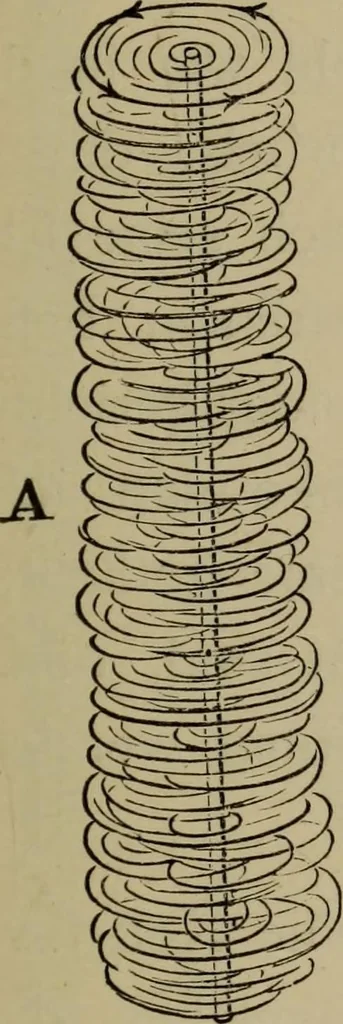An illustration from Neueste Anschauungen über Elektricität, 1896, leaf 240