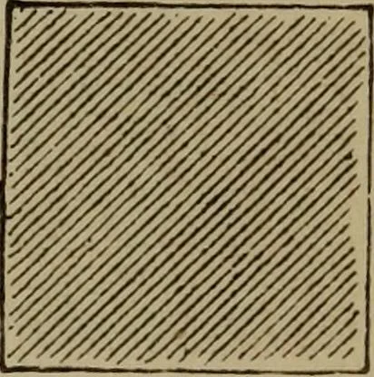 An illustration from Neueste Anschauungen über Elektricität, 1896, leaf 408