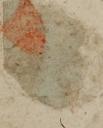 An illustration from Neues Weberbild: und Musterbuch... zur Beförderung der edlen Leinen- und Bildweberkunst .., 1771, leaf 11