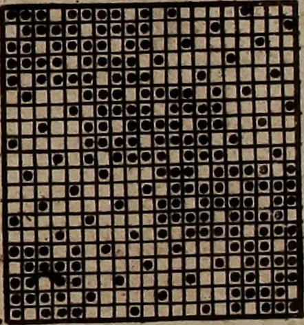 An illustration from Neues Weberbild: und Musterbuch... zur Beförderung der edlen Leinen- und Bildweberkunst .., 1771, leaf 144
