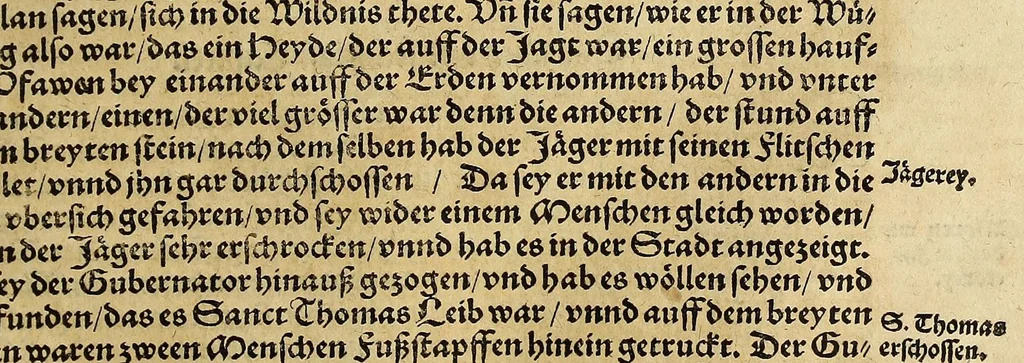 An illustration from Neue Welt : das ist, warhafftige Beschreibunge aller schönen Historien von Erfindung viler vnbekanten Königreichen, Landschafften, Insulen vnnd Stedten ... Dergleichen vorhin in Keinen Chronicken beschrieben ... zur Fürderung des gemeinen Nutzes zusamen getragen., 1567, leaf 157