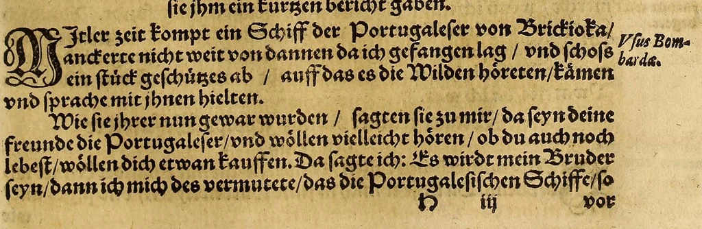 An illustration from Neue Welt : das ist, warhafftige Beschreibunge aller schönen Historien von Erfindung viler vnbekanten Königreichen, Landschafften, Insulen vnnd Stedten ... Dergleichen vorhin in Keinen Chronicken beschrieben ... zur Fürderung des gemeinen Nutzes zusamen getragen., 1567, leaf 313