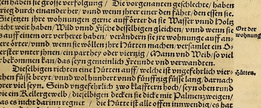 An illustration from Neue Welt : das ist, warhafftige Beschreibunge aller schönen Historien von Erfindung viler vnbekanten Königreichen, Landschafften, Insulen vnnd Stedten ... Dergleichen vorhin in Keinen Chronicken beschrieben ... zur Fürderung des gemeinen Nutzes zusamen getragen., 1567, leaf 337