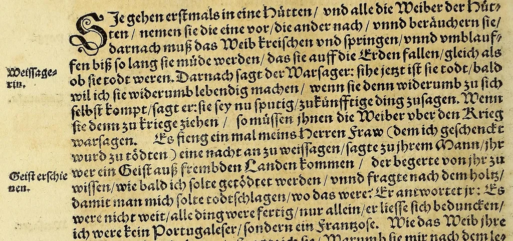 An illustration from Neue Welt : das ist, warhafftige Beschreibunge aller schönen Historien von Erfindung viler vnbekanten Königreichen, Landschafften, Insulen vnnd Stedten ... Dergleichen vorhin in Keinen Chronicken beschrieben ... zur Fürderung des gemeinen Nutzes zusamen getragen., 1567, leaf 346