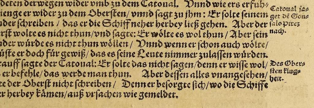 An illustration from Neue Welt : das ist, warhafftige Beschreibunge aller schönen Historien von Erfindung viler vnbekanten Königreichen, Landschafften, Insulen vnnd Stedten ... Dergleichen vorhin in Keinen Chronicken beschrieben ... zur Fürderung des gemeinen Nutzes zusamen getragen., 1567, leaf 71
