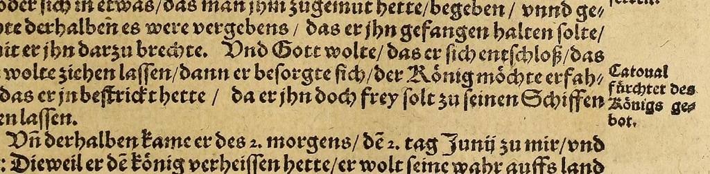 An illustration from Neue Welt : das ist, warhafftige Beschreibunge aller schönen Historien von Erfindung viler vnbekanten Königreichen, Landschafften, Insulen vnnd Stedten ... Dergleichen vorhin in Keinen Chronicken beschrieben ... zur Fürderung des gemeinen Nutzes zusamen getragen., 1567, leaf 71