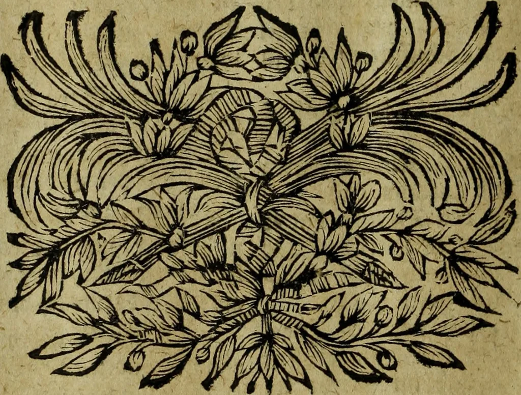 An illustration from Neu hervorkommendes Weber Kunst und Bild Buch, 1736, leaf 183