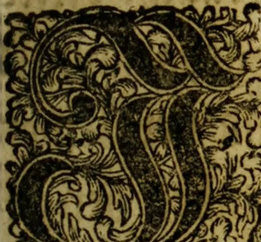 An illustration from Neu hervorkommendes Weber Kunst und Bild Buch, 1736, leaf 270